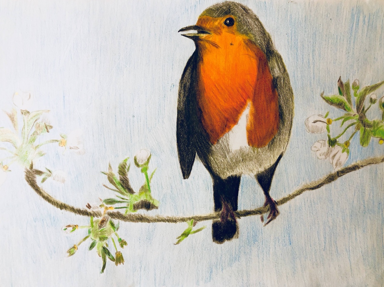 Pájaro: Un Reposo de Colores y Texturas