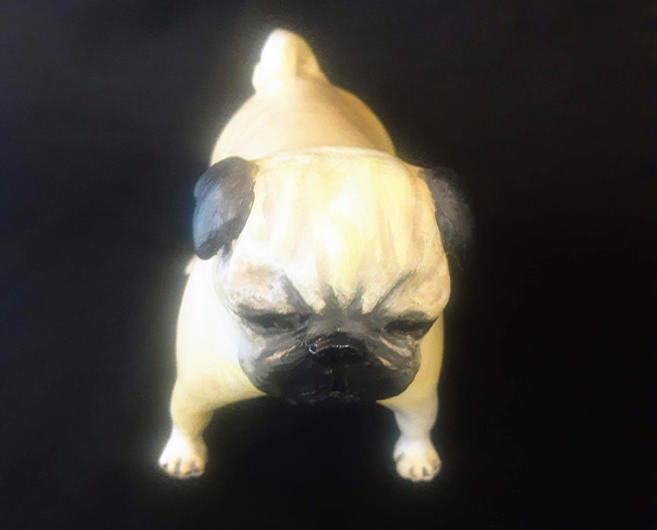 Perro PUG