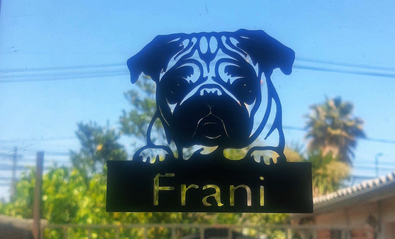 Perro PUG