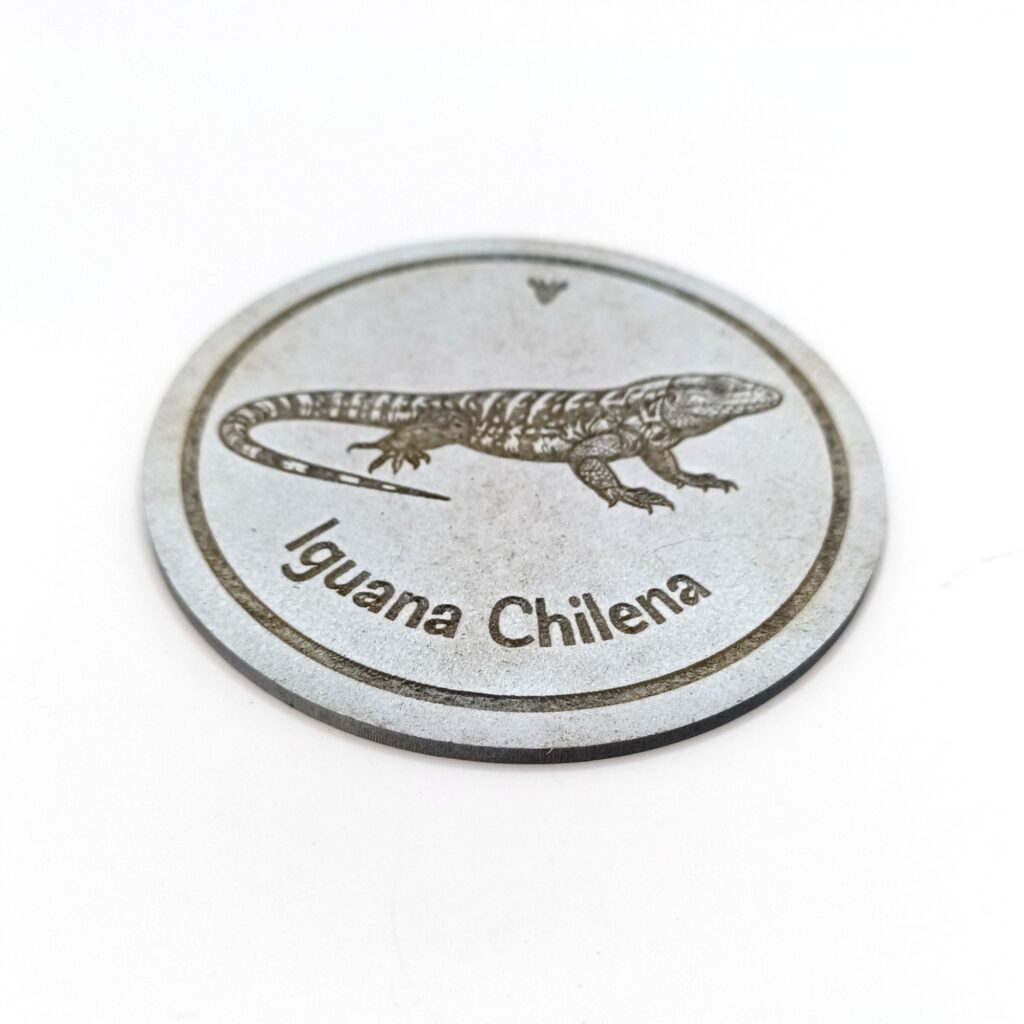 Posavasos Iguana Chilena