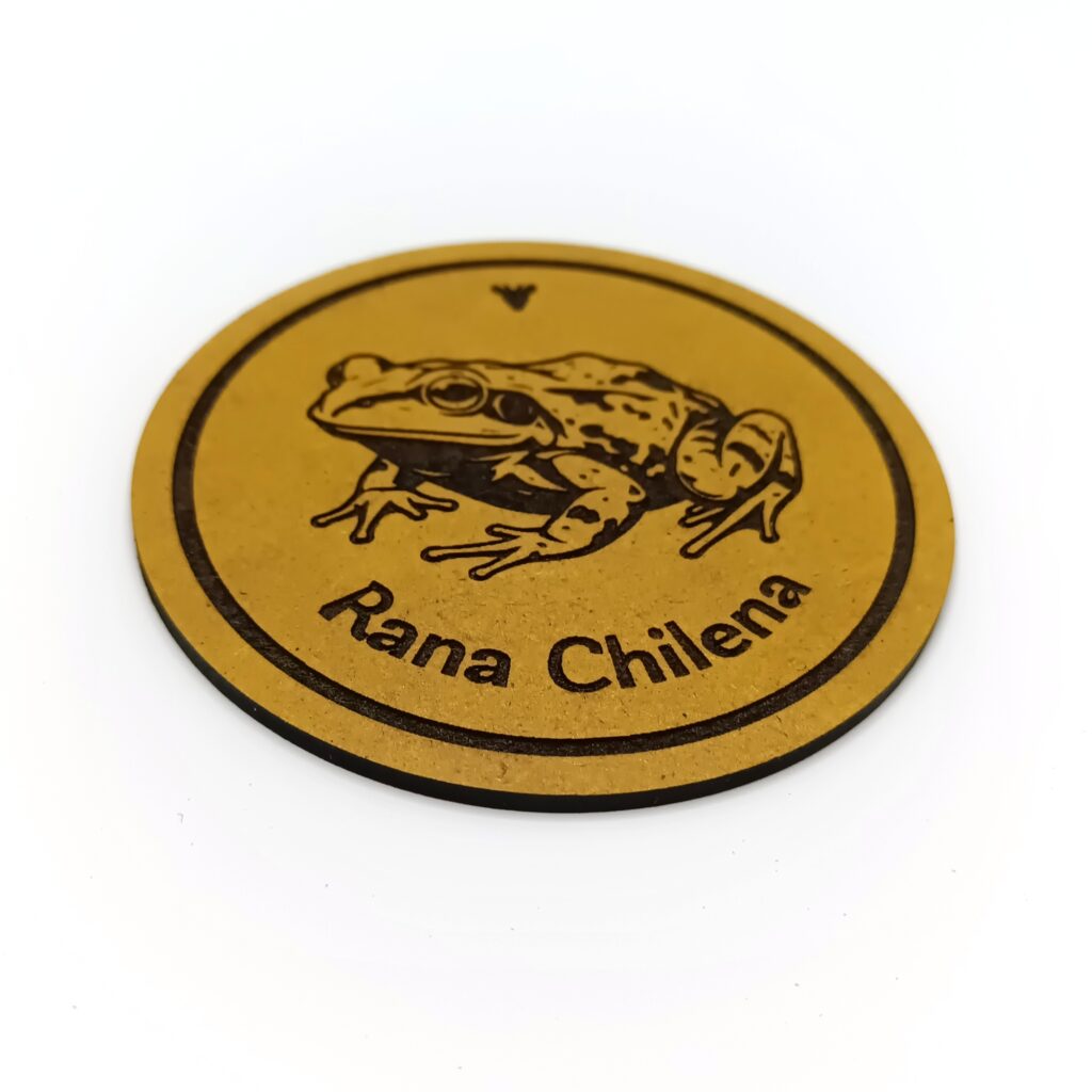 Posavasos Rana Chilena