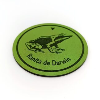 Posavasos Ranita de Darwin
